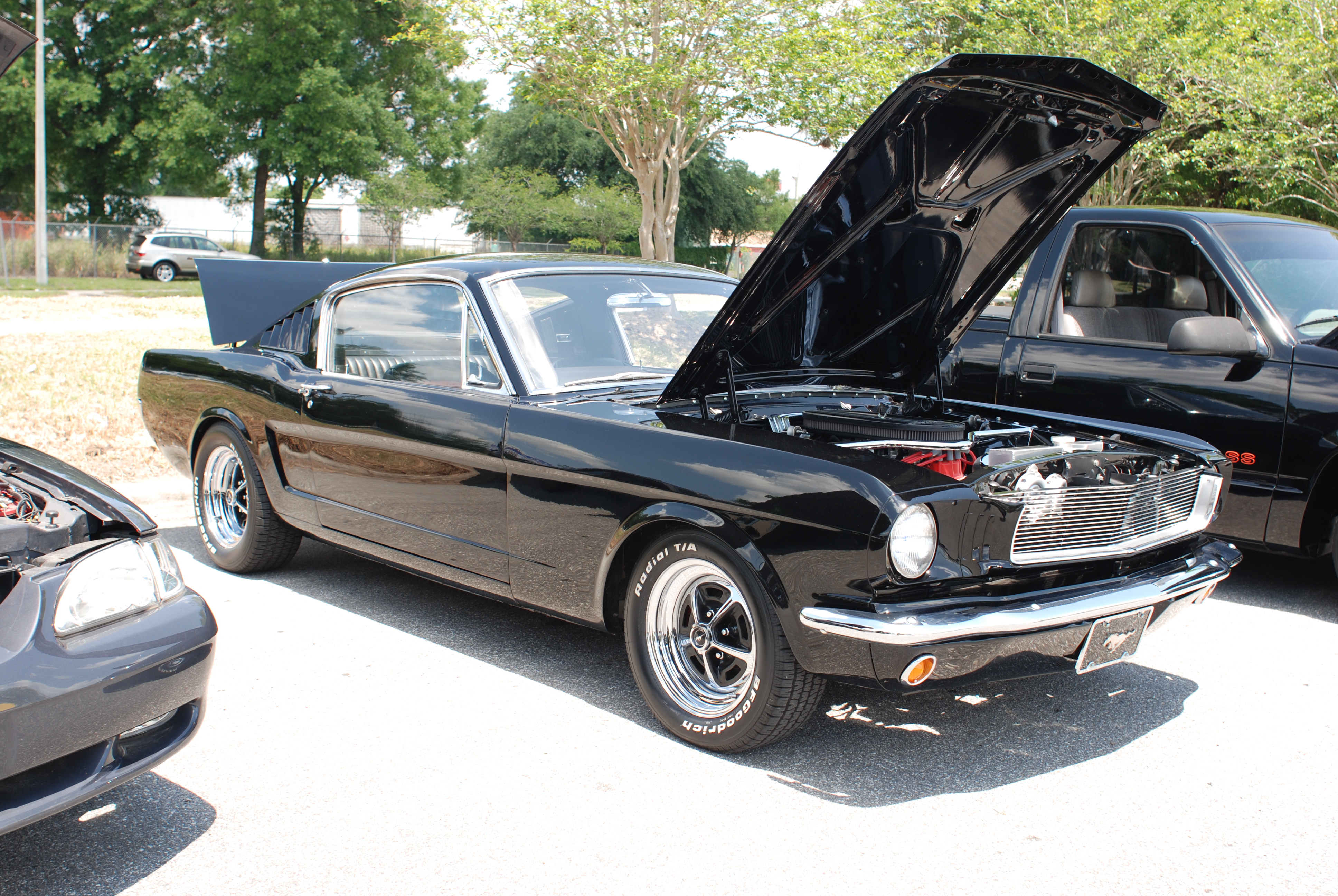 1965 Fastback Mustang